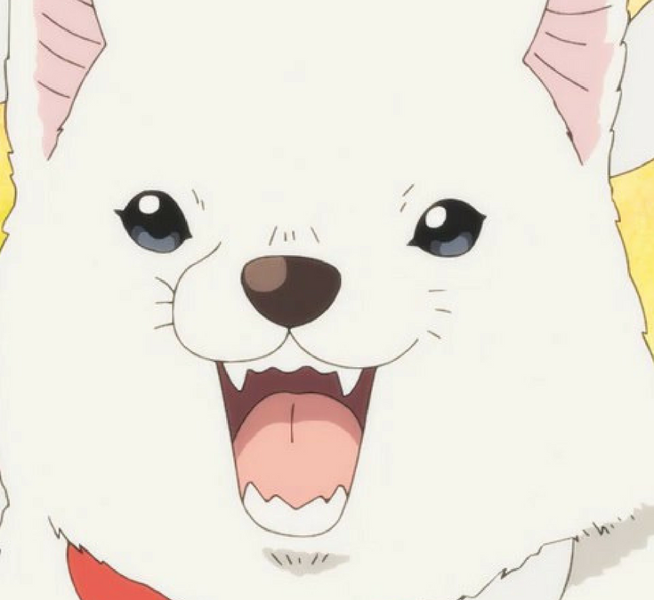 What’s In Store For You In The Year of The Dog