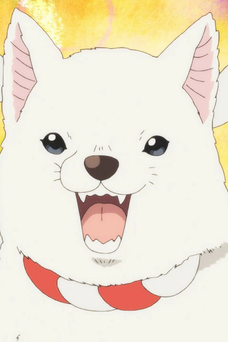 Year of Dog