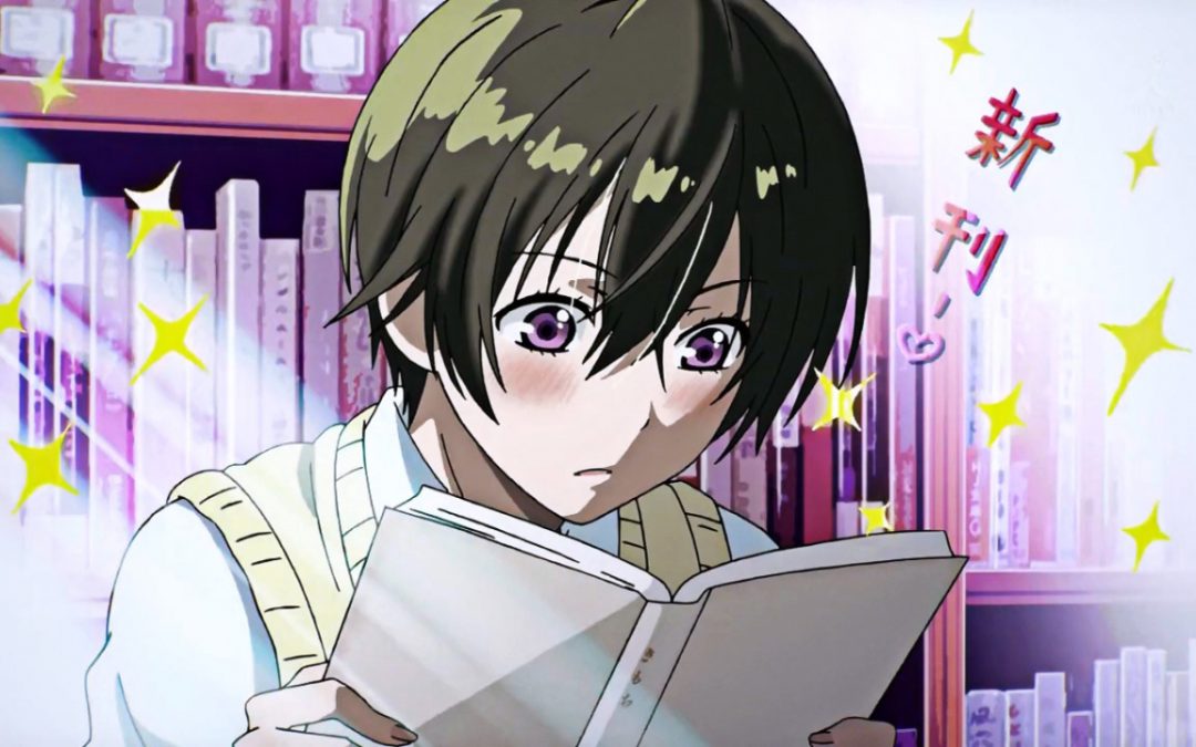 These are the type of manga and light novels that I enjoy reading